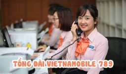 Tổng đài Vietnamobile, số hotline hỗ trợ khách hàng Vietnamobile 24/7