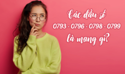 Các đầu số 0793, 0796, 0798, 0799 là mạng gì?