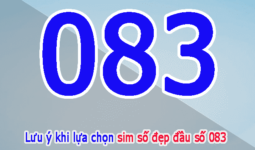 083 là mạng gì? Đầu số 083 của mạng nào