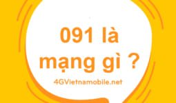 Đầu số 091 là mạng gì? Sim đầu số 091 đổi thành gì?