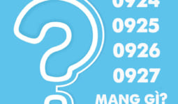 Đầu số 0924, 0925, 0926, 0927 là mạng gì?