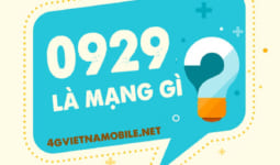 Sim đầu số 0929 là mạng gì? Đầu số 0929 của nhà mạng nào?