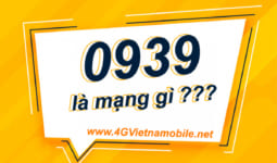 Đầu số 0939 là mạng gì? Ý nghĩa phong thủy của đầu số 0939