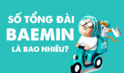 Tổng đài Baemin là số mấy? Liên hệ hotline Baemin dành cho tài xế và khách hàng